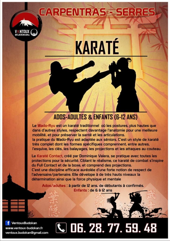 discipline karate wado ryu